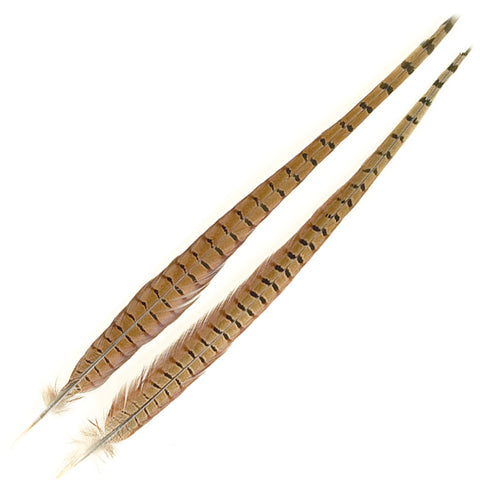 Cock Pheasant Tail Feather Natural