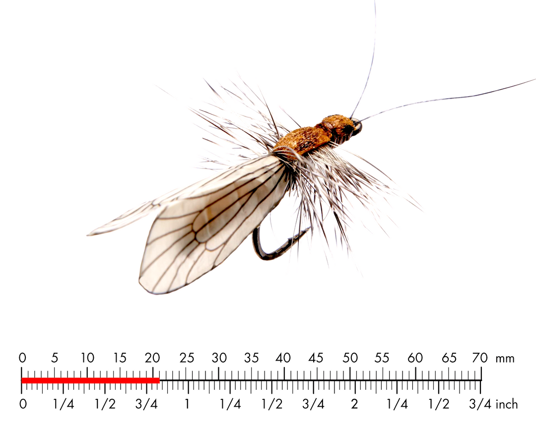 J:SON REALISTIC MAYFLY NYMPH 3 #12